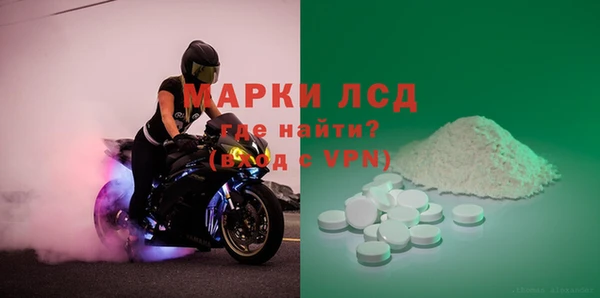 сатива Губаха