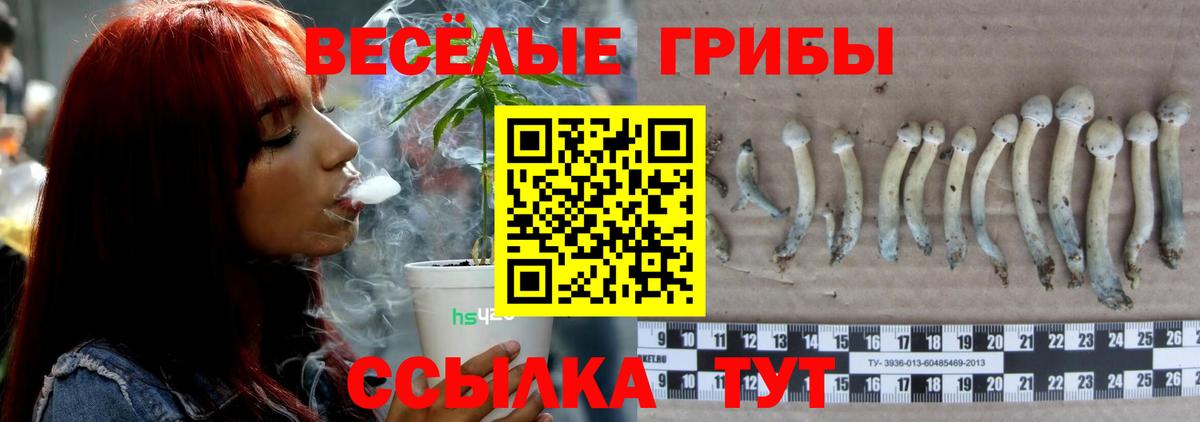 Галлюциногенные грибы Cubensis Большой Камень